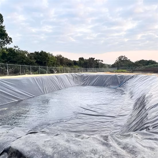 Hersteller von kundenspezifischen HDPE/LDPE/PE/EV/ECB/PVC-Textur-/Verbund-Geomembranen für Aquakultur/Fischfarm/Garnele/Teich/Staudamm/Deponie/Bergbau/Salz/Rückstandauskleidung