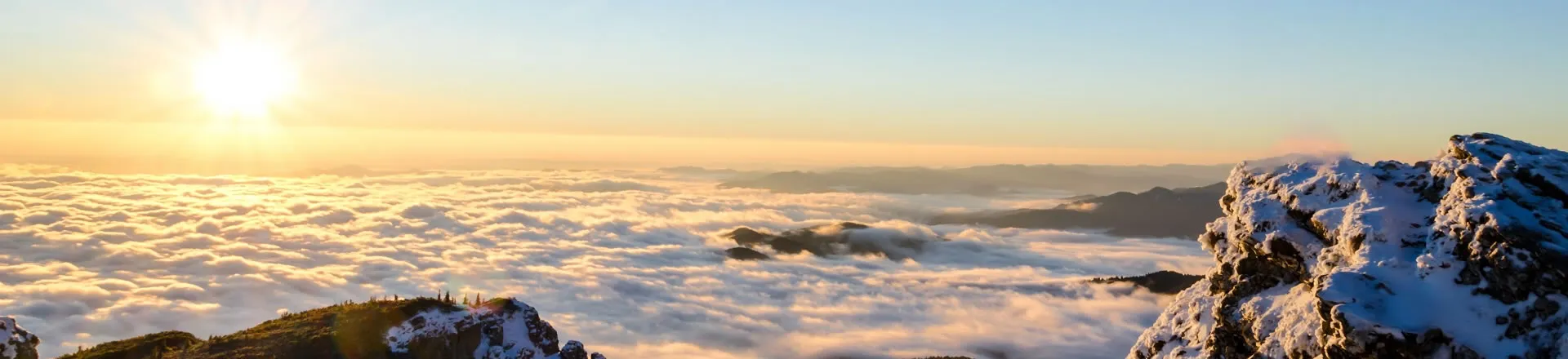 Blanke Stromkabel und schiefe Masten auf Maui waren mögliche Ursache für tödliche Brände